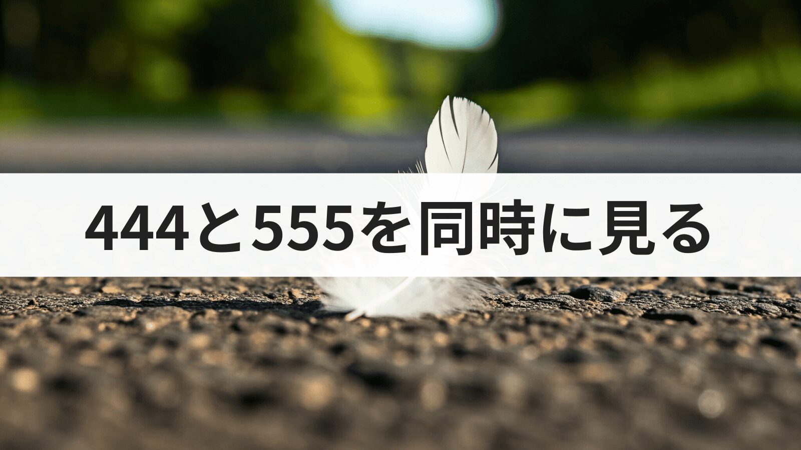 エンジェルナンバー444と555を同時に見る意味とは？