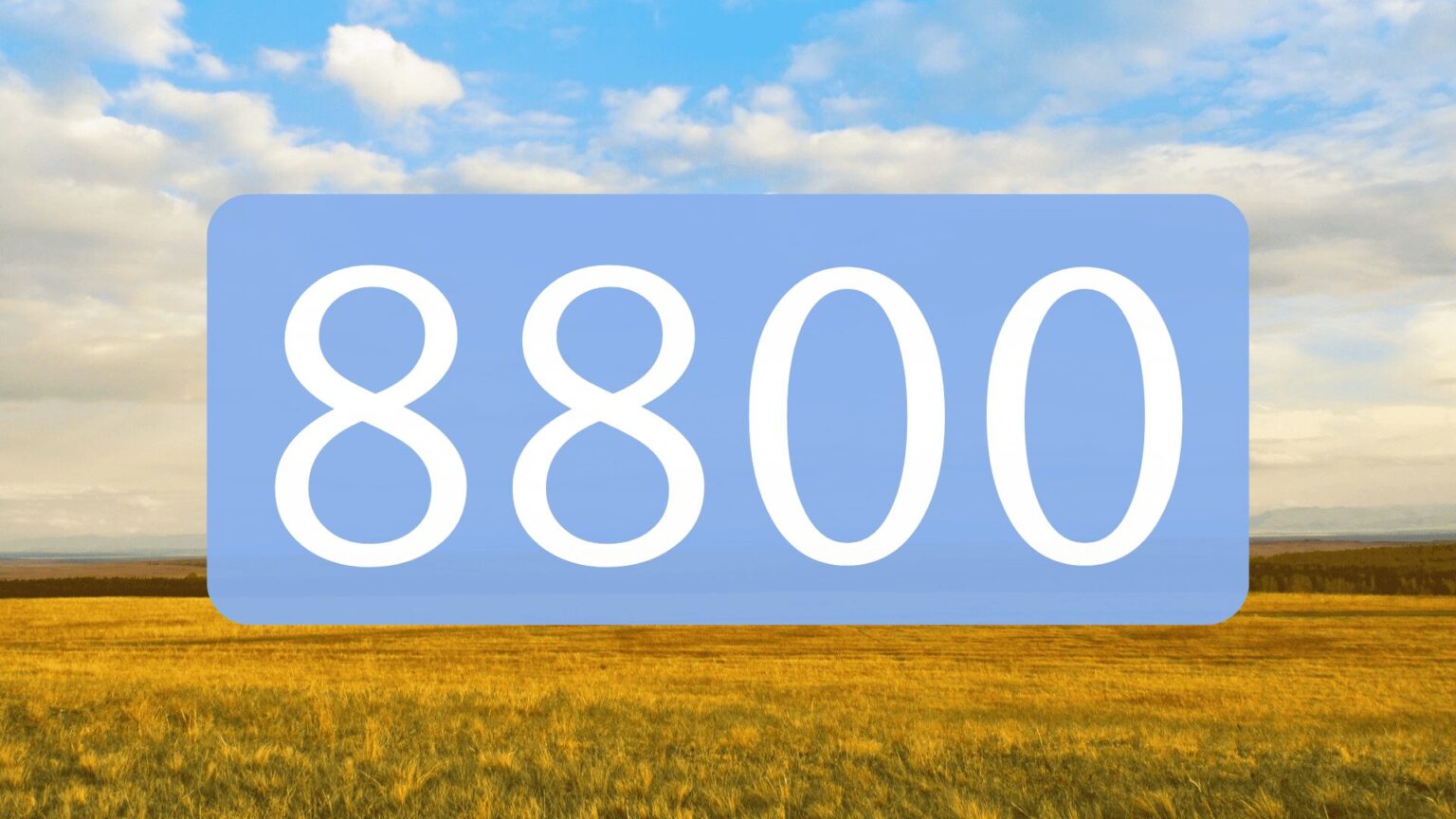 【8800】エンジェルナンバーの意味は？ツインレイ・片思い・金運のメッセージ | やさしいエンジェルナンバー